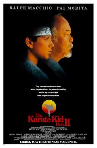 دانلود فیلم The Karate Kid Part II 1986 با زیرنویس فارسی چسبیده